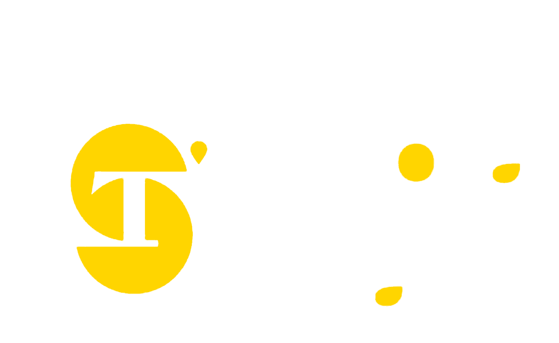 SkolaTrans logo